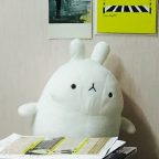 님프도라 통스